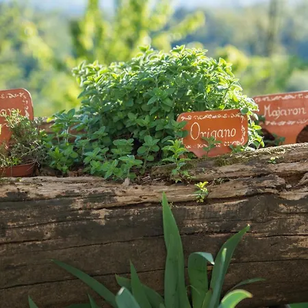 Vakantieboerderij Farm Grofija *