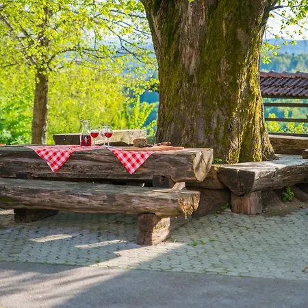 Vakantieboerderij Farm Grofija Ivancna Gorica