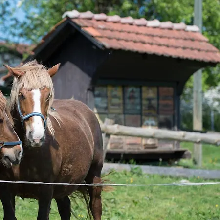 Farm Grofija Ivancna Gorica