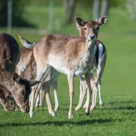 Farm Grofija 팜스테이 Ivančna Gorica