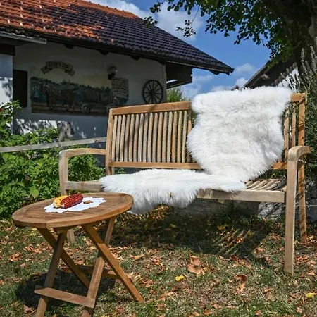 Farm Grofija *