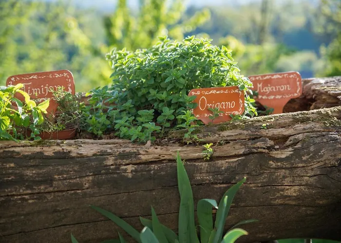 Alloggio per agriturismo Farm Grofija *