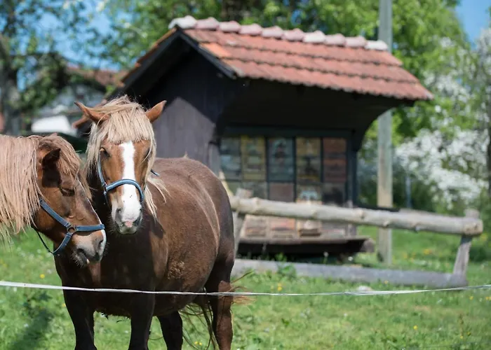 Farm Grofija Ivancna Gorica