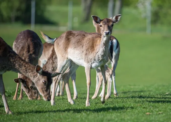 Farm Grofija Bauernhof Ivancna Gorica
